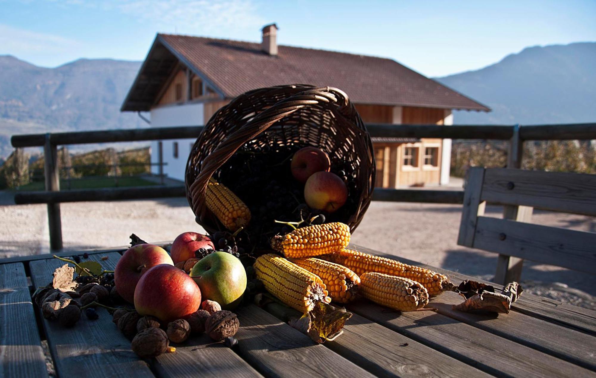 Agritur Maso Pra' Cavai B&B Balbido-rango Esterno foto